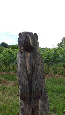 Fritz Schönberger Elektroinstallation