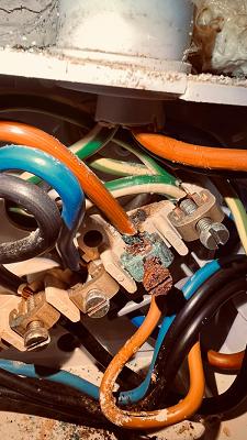 Elektro Seegers