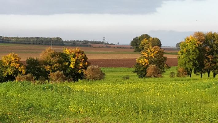 Ramsauer Elektrotechnik