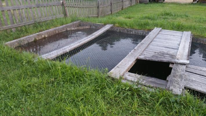 Elektro Hans-Peter Penninger