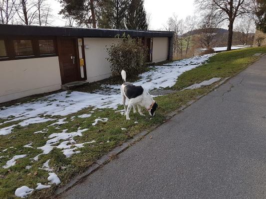 R.F. Müller Elektroservice