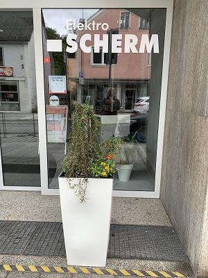 SP:Scherm