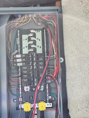 Light Of The World Electric