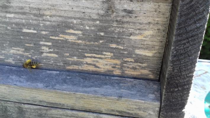 Matthias Schmidt Elektroinstallationen