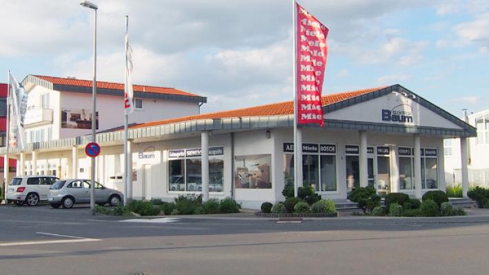 Elektro Baum GmbH & Co. KG