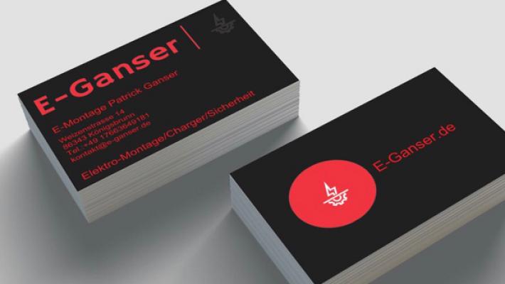 E-Montageservice Patrick Ganser