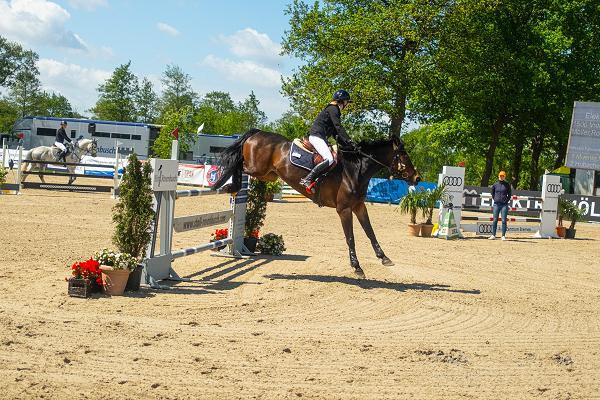 Elektro Möller GmbH & Co. KG