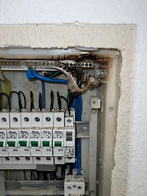 Elektriker Now & Photovoltaik Frankfurt a.M.