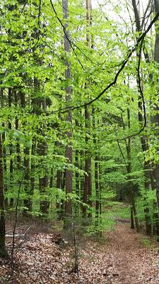 DigiData Dienstleistungs GmbH