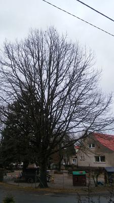 Elektroinstallationsbetrieb Thomas Wille