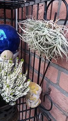 Schaak Elektroanlagen