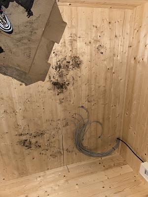 Arendt-Elektroanlagen GmbH & Co. KG