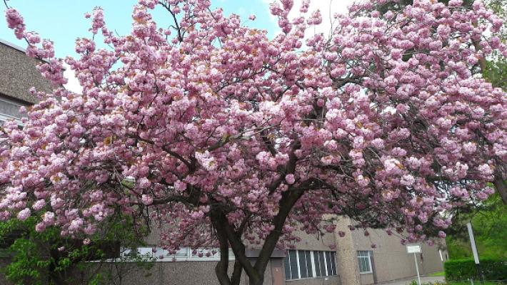 Prang Elektrotechnik GmbH