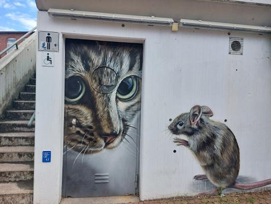 Schmöe Installations GmbH in Bückeburg