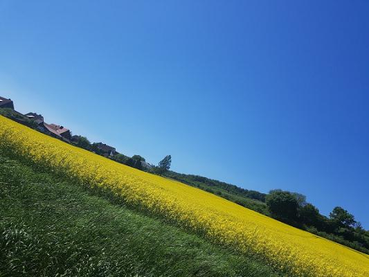 Heise GmbH