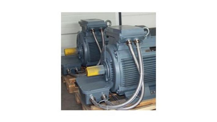 Franz Schöffler Elektromotoren GmbH & Co. KG