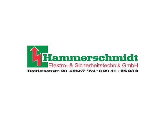 Hammerschmidt Elektro- & Sicherheitstechnik GmbH