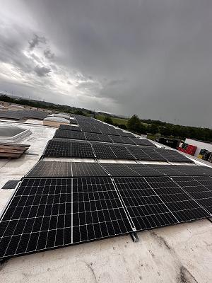 Daniel Emhazion Elektromeister