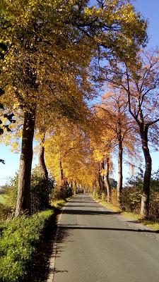 Solar- und Elektrotechnik Nehring UG (haftungsbeschränkt)