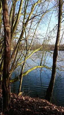 Holger Trepka Elektro