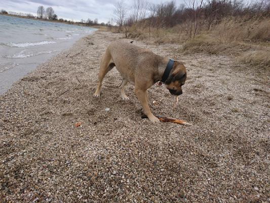 Elektroanlagen Andreas & Müller GmbH & Co. KG