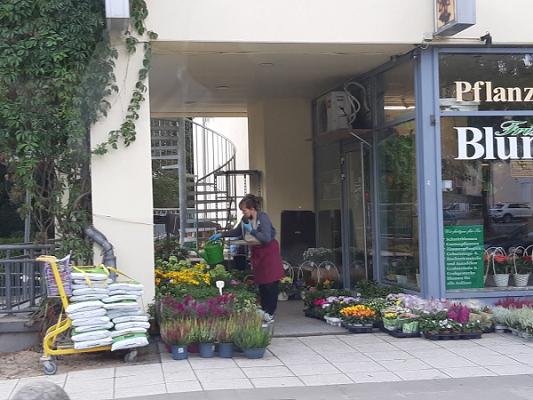 Bernd Bienia Elektroanlagen