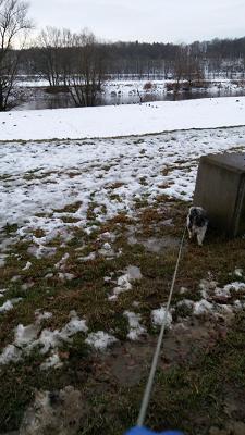 Riehl F. u. Baronius A. GbR