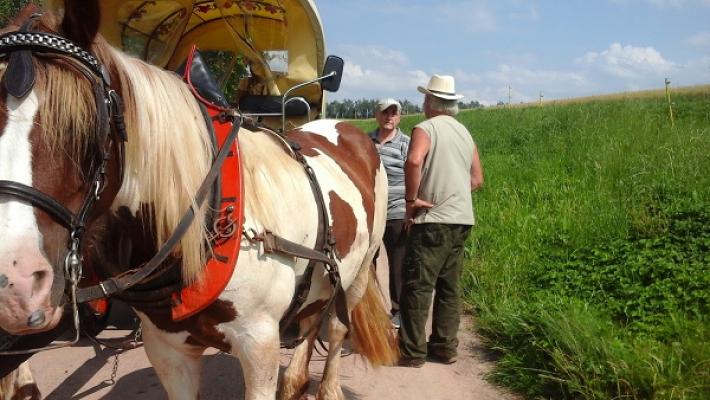 Falke Elektroinstallation GmbH