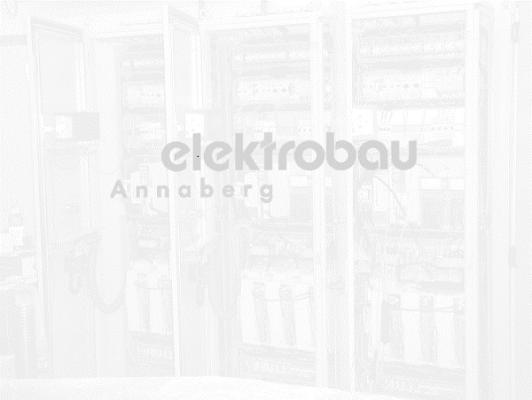 Elektrobau Annaberg GmbH