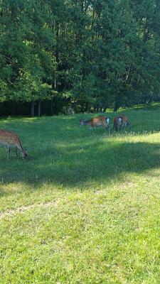 Wagner Elektrotechnik