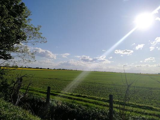 Thomas Schimmel und Jörg Schönemann GbR