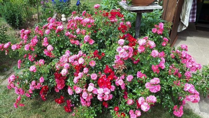 Elektronik Schmidt GmbH