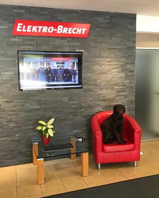 Elektro-Brecht