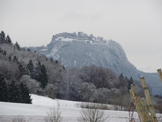 MERTEN Elektrotechnik Elektroarbeiten vom Fachmann