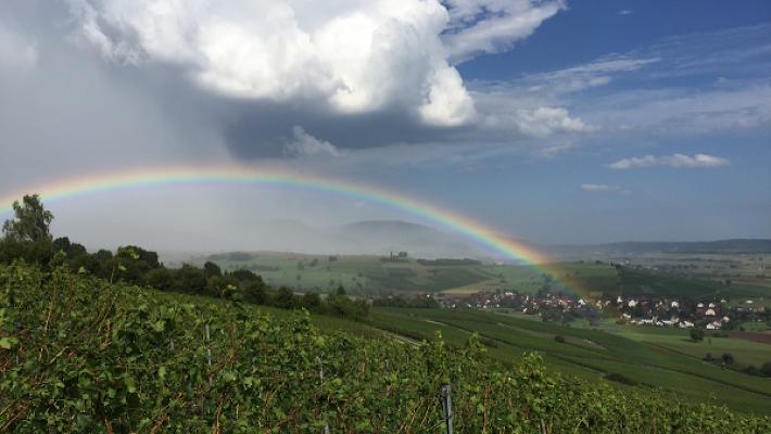 Bührer GmbH Elektro Telematik