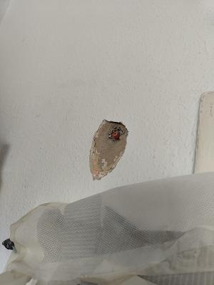 Udo Lehmann Elektrotechnik